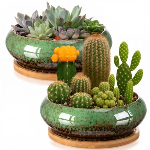 2 Pcs 7.3'' Shallow Succulent Planters Pots, Green - color: Green, size: 7.3''
