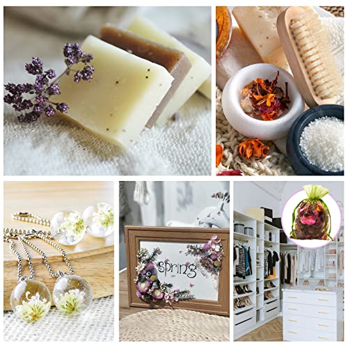 SACATR Dried Flowers, 50 Bags 100% Natural Dried Herbs Kit for Soap Making, Candle, Resin Jewelry Making, Bath, Nail - Include Rose Petals, Rosebuds, Lilium, Jasmine, Don't Forget Me and More - color: 50 Bags*10g