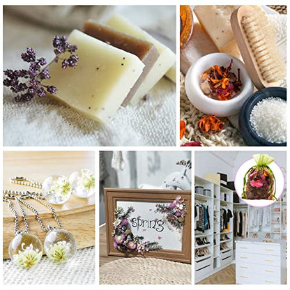 SACATR Dried Flowers, 50 Bags 100% Natural Dried Herbs Kit for Soap Making, Candle, Resin Jewelry Making, Bath, Nail - Include Rose Petals, Rosebuds, Lilium, Jasmine, Don't Forget Me and More - color: 50 Bags*10g