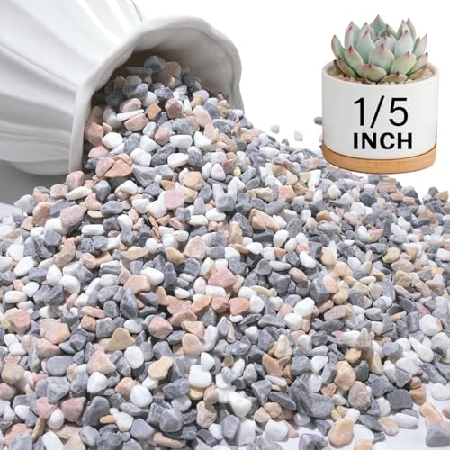 NUPICK 12 lbs Pebbles for Indoor Plants, 1/5 Inch Pea Gravel for Fish Tank | Polished Decorative Rocks for Succulent, Natural River Stones for Vases, Cactus, Landscaping, Bird Bath, Aquarium, Mixed - color: Mixed, size: 12 lb