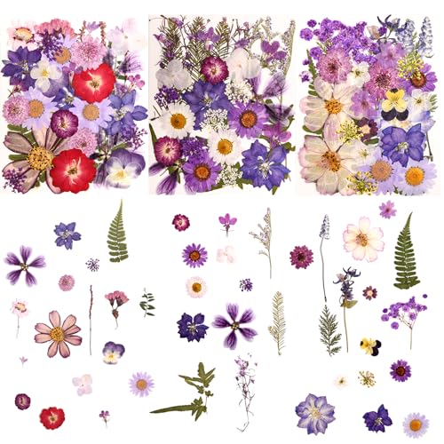 100 PCS Purple Pressed Dried Flowers and Leaves with Tweezers | Natural Dried Flowers, For Resin, Candle, Jewelry, Scrapbooking & DIY Crafts - color: Purple 100