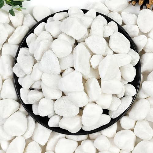 YISZM 20lb White River Rocks for Landscaping, 5/8 Inch Natural Pebbles for Indoor Plants, Snow White Decorative Stones, Ideal for Fish Tank, Vases, Crafting, Home Decor and Garden Rocks - size: 20 Pounds, style: 5/8 Inch