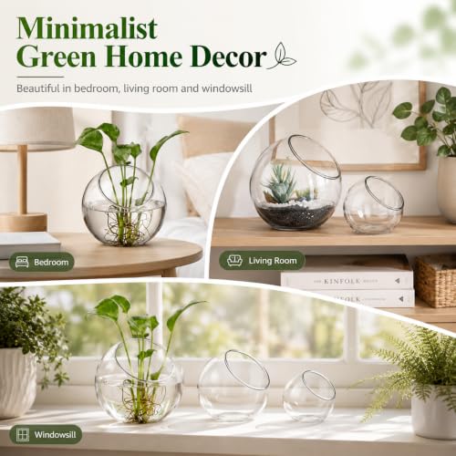 3 Pack Glass Terrarium Bowls for Air Plants, Clear Hydroponic Plant Propagation Vases with Wide Opening, Mini Indoor Garden Containers for Succulents, Pothos and Desk Decor