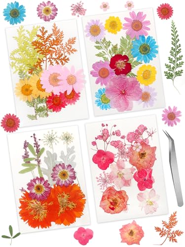 Real Dried Pressed Leaves Natural Dried Leaf for Candle Resin Jewelry Soap Nail Pendant Phone Case Crafts Making Floral Decors Scrapbooking DIY (48 Pcs Real Dried Leaves Flowers) - size: 48 Pcs Real Dried Leaves Flowers