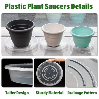 RooTrimmer 10 Pack 12 Inch Plant Saucer for Indoor Plants,Clear Plastic Plant Trays for Pots,Heavy Duty Durable Flower Pot Saucers to Protect Floors & Furniture - size: 12 Inch