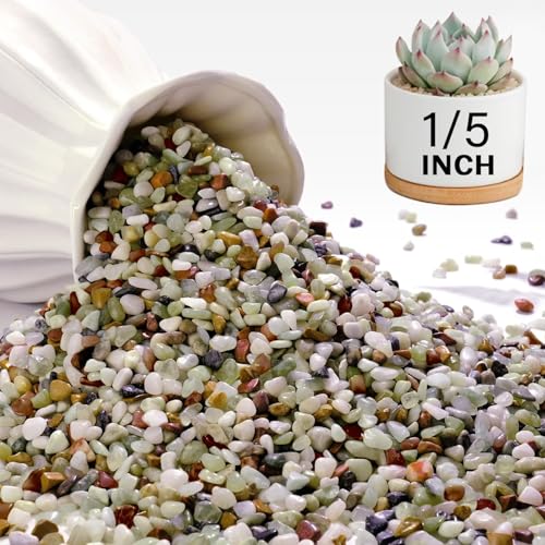NUPICK 12 lbs Pebbles for Indoor Plants, 1/5 Inch Pea Gravel for Fish Tank | Polished Decorative Rocks for Succulent, Natural River Stones for Vases, Cactus, Landscaping, Bird Bath, Aquarium, Colorful - color: Colorful, size: 12 lb