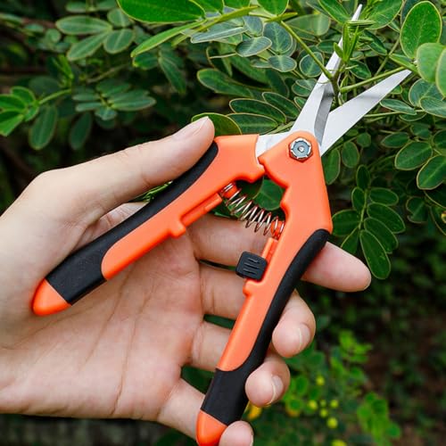 Pruning Shears for Gardening, Ultra Sharp Garden Scissors for Precise Cuts, Stainless Steel Bonsai Clippers with Spring Loaded, 6.5 Inch Garden Shears with Straight Stainless Steel Precision Blades - color: Orange&black