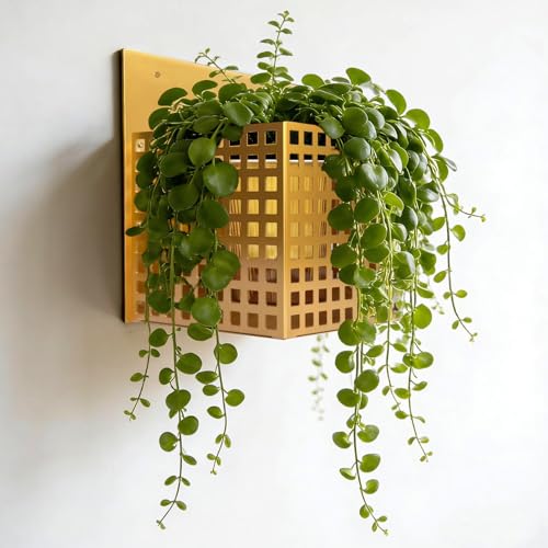Self-Watering Wall Mount Planter – Gold Indoor Plant Holder Wall Hanging