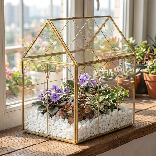 Fochier Geometric Glass Terrarium Planter, Handmade House-Shaped with Front Opening Door, Small Succulent & Cactus Display Box with Lid, Indoor Tabletop Micro Landscape Decor, No Plants, Gold