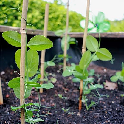 Plant Stakes 50Pcs 18IN,POLIUMB Premium Natural Bamboo Stakes Garden Stakes | Bamboo Sticks Support for Indoor and Outdoor Plants,Poles Sticks for Tomatoes, Beans,Flowers,Trees Potted and Climbing Plants - size: 18Inches