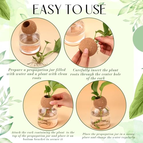 3 Pcs 3.94 Inches Glass Plant Propagation Stations with Spherical Lid Glass Jars Plant Propagation Vases Hydroponic Spherical Cork Planter for Indoor Home Office Desktop Decor(Cylinder) - size: 3.94 Inches, style: Cylinder