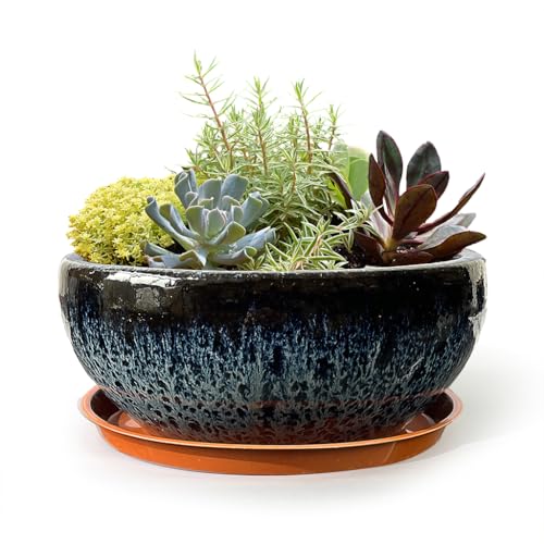 11 Inch Glazed Terracotta Plant Pot Round Ceramic Succulent Planter Pot with Drainage and Mesh Pad Cactus Clay Bonsai Pot (Blue) - color: Blue, size: 11 Inch
