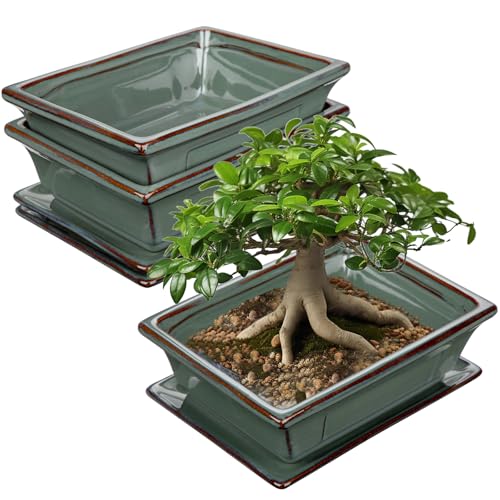 Villa Como Set of 2 Bonsai Pots with Drainage Tray, 7.5" Green Glazed | Ceramic Bonsai Tree Pots, Shallow Rectangle Bonsai Planter for Indoor Outdoor Plants, Succulents, Cactus, Home, Patio, Garden - color: Green, size: 7.5"x5.5"x2.4"