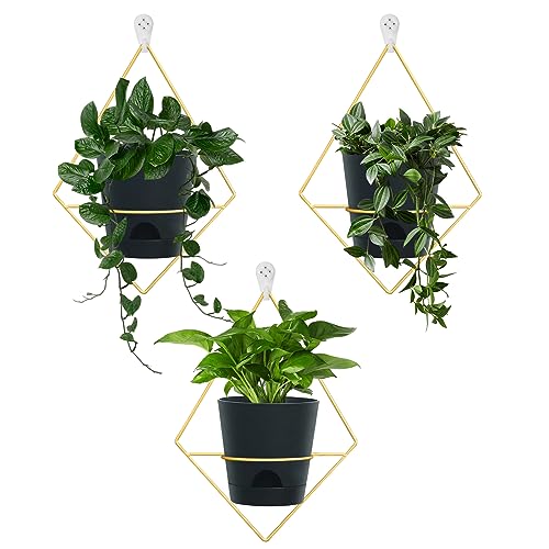 Koalaime 3 Sets Wall Planters for Indoor Plants Geometric Hanging Planters for Indoor Plants - Self-Watering Flower Pots with Black Metal Holder, Mounted Succulent Planter, 5" Black Plant Pot - color: Gold Black