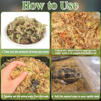 Sphagnum Moss for Reptiles, 1.1 lb Natural Terrarium Substrate Bedding | Long-fibered Sphagnum Moss for Reptile, Holds Humidity for Bearded Dragons, Geckos, Snakes, Turtles, and Hermit Crabs - size: 1.1 LB