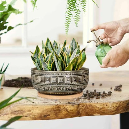 G EPGardening 8 Inch Ceramic Succulent Planter Pots Round Shallow Bonsai Planter Pot for Indoor Plants with Drainage and Bamboo Saucer Gray - color: Gray
