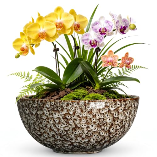 Bowl Planter, 8 Inch Ceramic Succulent Pots, White Leopard | Round Bonsai Pots for Indoor Plants Outdoor, Flower Bowl with Drainage Hole, Cactus Pot, Bathroom Decor, Garden Gifts Women - color: White Leopard-1, size: 8 Inch