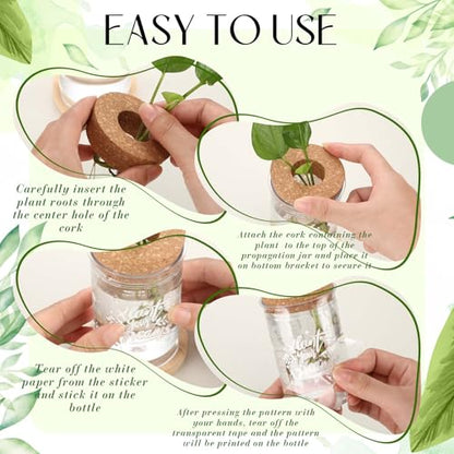 12 Pack Plant Propagation Jars Cork Lids Bamboo Stand,Awesome | Glass Vases for Water Propagation, Desktop Planters Wood Stand, Office Home Decor, Teacher Thank You Gifts, Quotes Art
