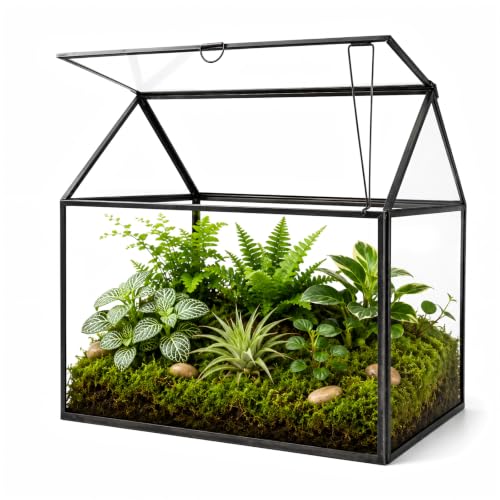 Large Glass Plant Terrarium – House Succulent Glass Terrarium Kit with Lip Glass Greenhouse Terrarium for Plant 12.26X9.15X10.9inch (Black 2)