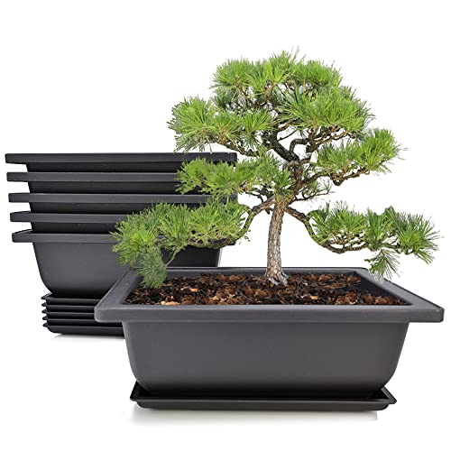 MUZHI 6PCS/Pack Retro Style Basin Plastic Flower Pot 6.5 Inch Flower Bonsai Tree Plant Bowl Nursery Pots Maceta Cuadrada Simulational Purple Sands Pots with Tray Rectangle Small - size: 6pcs small rect 6.5"