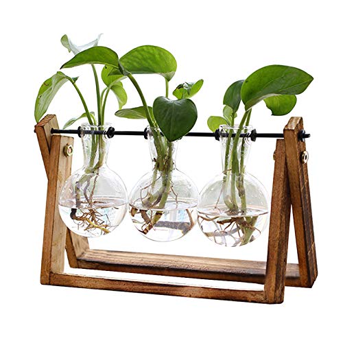 XXXFLOWER Plant Terrarium with Wooden Stand- 3 Bulb Vase+ Wall Hanging Propagation Station with 3 Star-Shaped Glass Vase