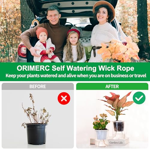 ORIMERC 30 Pack 3 inch Net Cup Pots with 30 feet Hydroponic Self Watering Wick & 30 Plant Labels Aquaponics Mason Jar Bucket Insert Orchid kratky Vegetable Gardening Growing Netted Basket Slotted Mesh - size: 3 inch(30 Pack)