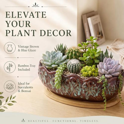 Succulent Planter Pot with Drainage Holes Large Ceramic Glazed Planter with Bamboo Wooden Tray and mesh Pads Shallow Bonsai Pot for Indoor Cactus Flower Plant(Wave-Shaped,Brown Turquoise) - color: Blue and Brown, style: Round