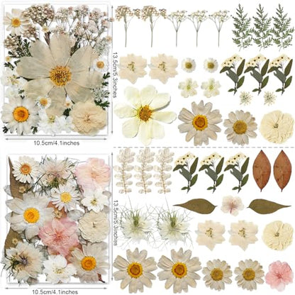 140PCS White Dried Pressed Flowers with Butterfly Stickers - YouthBro Real Nature Flowers Craft Set for Resin DIY Jewelry Candle Soap Vase Making Nail Card Scrapbook Art Floral Decors