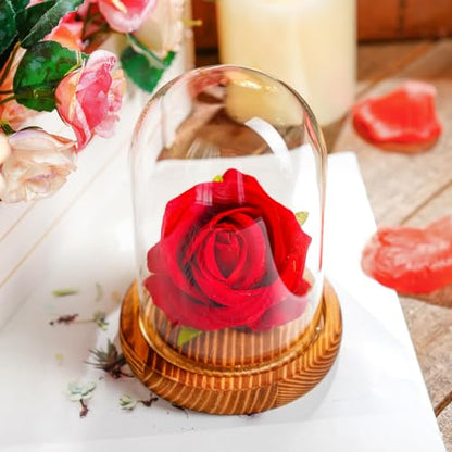 Cloche Glass Dome with Wooden Base, Glass Display Dome Bell Jar 5.1" | Fits collectibles under 5.1" tall, crystal-clear glass, sturdy wood base, dust protection, ideal for gifts and décor