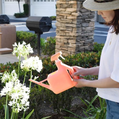 PETAL & FLOW Spray Sprinkler 2-in-1 Watering Can & Plant Mister Spray Bottle for Indoor & Outdoor Plants, 0.4 Gal (1.6L)(Apricot Pink) - color: Apricot Pink