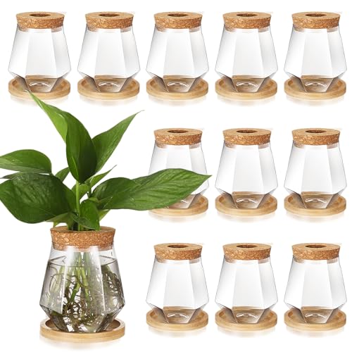 12 Packs Propagation Vases for Plants Plastic Plant Propagation with Hole Lid and Bamboo Stand Growing in Water Hydroponic Home Office Desktop Vase Decoration (Cup Style) - style: Cup Style