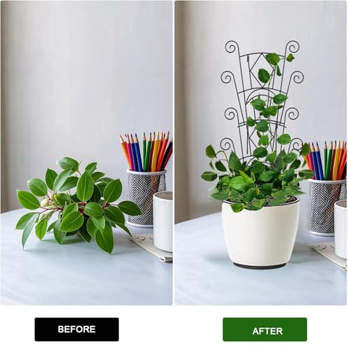 Yhtpouqe Stackable Plant Support Stakes, 2 Pack Metal Twig Plants Trellis for Indoor and Outdoor Use, Garden Accessories for House Potted Flower Monstera Trumpets 15.35 inch - size: 2 Pack