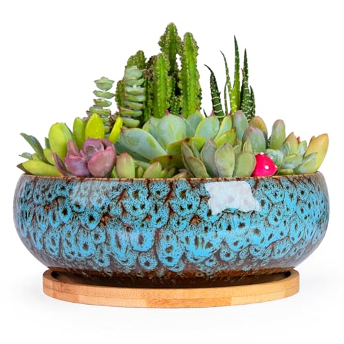 ARTKETTY Succulent Pots, 7.5 Inch Large Plant Pots with Bamboo Tray - color: Blue