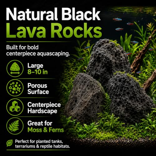 8–10 Inches Natural Black Lava Rocks, 3 PCS Large Aquarium Stones for Aquascaping, Fish Tank Centerpiece Decor, Planted Tanks, Terrariums & Reptile Habitats (Large 8–10 in) - size: Large 8–10 in
