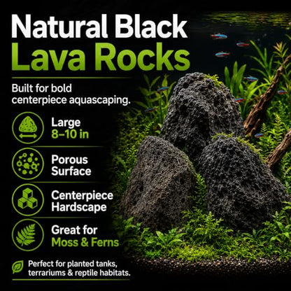 8–10 Inches Natural Black Lava Rocks, 3 PCS Large Aquarium Stones for Aquascaping, Fish Tank Centerpiece Decor, Planted Tanks, Terrariums & Reptile Habitats (Large 8–10 in) - size: Large 8–10 in