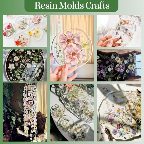 86Pcs Dried Pressed Flowers Leaves for Crafts, Real Natural Dried Leaves Pressed Leaves Bulk Dry Leaves for Resin, DIY Art, Jewelry, Candle & Soap Making, Scrapbook Bookmarks Ideas – Tweezers Included - color: Green 86pcs