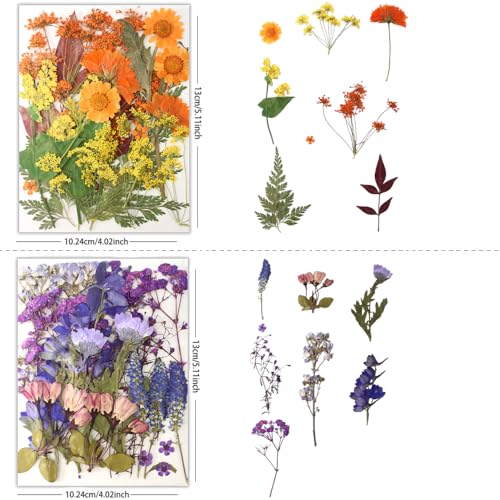 80Pcs Pressed Flowers, Dried Flowers Natural Pressed Flowers Bulk for Resin Molds, Nail Art, Scrapbooking, Candle Holder, Jewelry Making, Real Dried Pressed Flowers DIY Crafts Supplies Kit - color: Multi Color-9