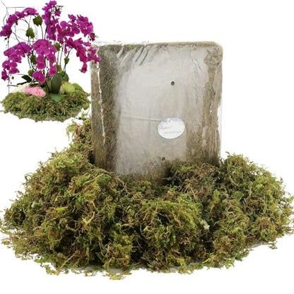 19 OZ Fake Moss for Potted Plants Indoor, Artificial Moss for DIY Crafts, Faux Decroative Moss for Fake Plants Home & Garden Wedding Decor (Fresh Green - 540gr)