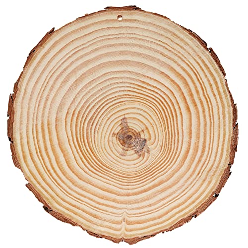 JEUIHAU 10 PCS 6.7-7 Inches Natural Wood Slices with Holes, Unfinished Predrilled Wooden Circles Tree Bark Slice, Blank Wooden Log Circles for DIY Crafts, Arts Wood Slices, Christmas Ornaments - size: 10 PCS 6.7-7 In with Holes