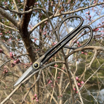 8 Inch Full-Steel Forged, Bonsai Small Branch Shears for Delicate Shoots and Leaves