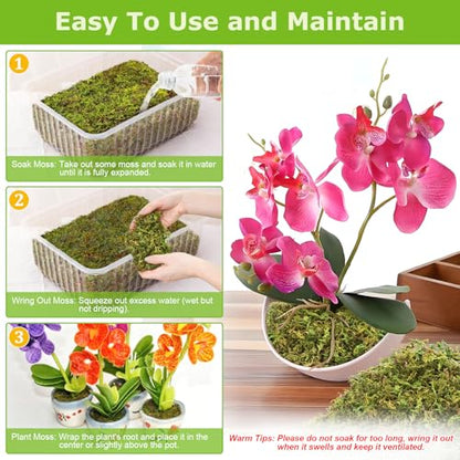 Legigo 1.3LB Sphagnum Moss for Plants, 25QT Natural Long Fiber Orchid Moss | Drainage & Moisture Retention, Green Plant Moss for Orchid Repotting, Carnivorous, Succulents, Reptile Bedding & Terrariums - size: 1.3LB