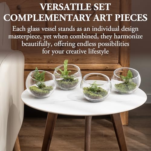 MyGift Premium Hotel Series 5 Inch Round Clear Glass Air Plant Terrariums, Mini Candy Bowl Jars, Tealight Candle Holders, Succulent Cactus Vases, Set of 4 (Pack of 3) - size: Set of 4 (Round) (Pack of 3)