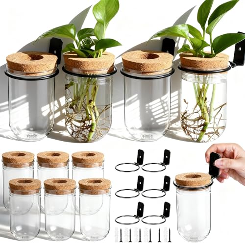 Baderke 6 Set Wall Plant Holder with Plastic Propagation Vases Hanging Planter Wall Mounted Set for Plants Growing in Water Hydroponic Artificial Plants Indoor Decor (2.48" X 4.72",Test Tube) - color: Test Tube, size: 2.48" x 4.72"