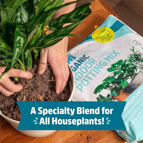 Back to the Roots 100% Organic Indoor Potting Mix (Value 12 Quart) | Promotes Healthy Houseplant Growth| Made in The USA - size: 12 Quart, style: Indoor Soil