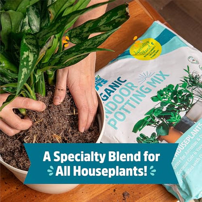 Back to the Roots 100% Organic Indoor Potting Mix (Value 12 Quart) | Promotes Healthy Houseplant Growth| Made in The USA - size: 12 Quart, style: Indoor Soil