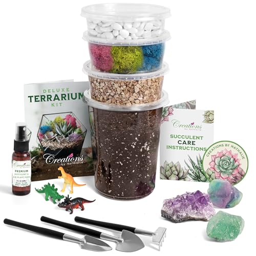 Creations by Nathalie Large Terrarium Starter Kit with Moss Soil and Tools | DIY large terrarium starter kit with premium moss, tools, and essential supplies to build a beautiful indoor terrarium.