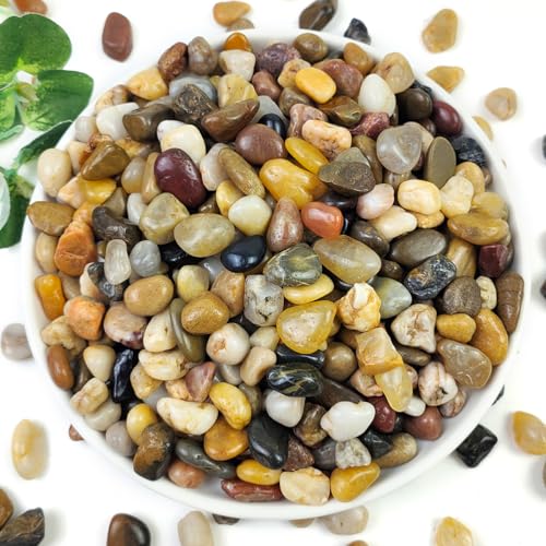 5LB Succulent and Cactus Gravel Pebbles, 3/8 Inch Natural Stones | Decorative Polished River Rocks for Plants, Vases, Aquariums, Terrarium and Outdoor Gardening - color: Natural, size: 5 Pounds