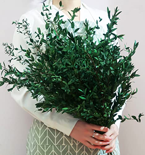 20+ Small Branches Dried Eucalyptus Preserved Greenery Stems, 7-14 Pcs 17'' 4oz Natural Real Eucalyptus Bundles for Shower, Green Leaves Plant for Arrangement, Wedding, Home, Office Decor