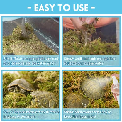 Riare 7 OZ Natural Sphagnum Moss for Reptiles, Terrarium Substrate Bedding | High Expansion, Moisture Retention, Helps Shedding, Long Fibered Dried Moss for Leopard Gecko, Snake, Frog, Turtle - color: 7 OZ