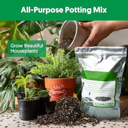 Succulent Cactus Potting Soil Mix (2 qt), All-Purpose Garden Potting Mix for Indoor Outdoor Plants, Quick Drain Houseplant Orchid Bonsai Perlite Soil, Ready-to-Use, Resealable Bag Design - size: 2 qt